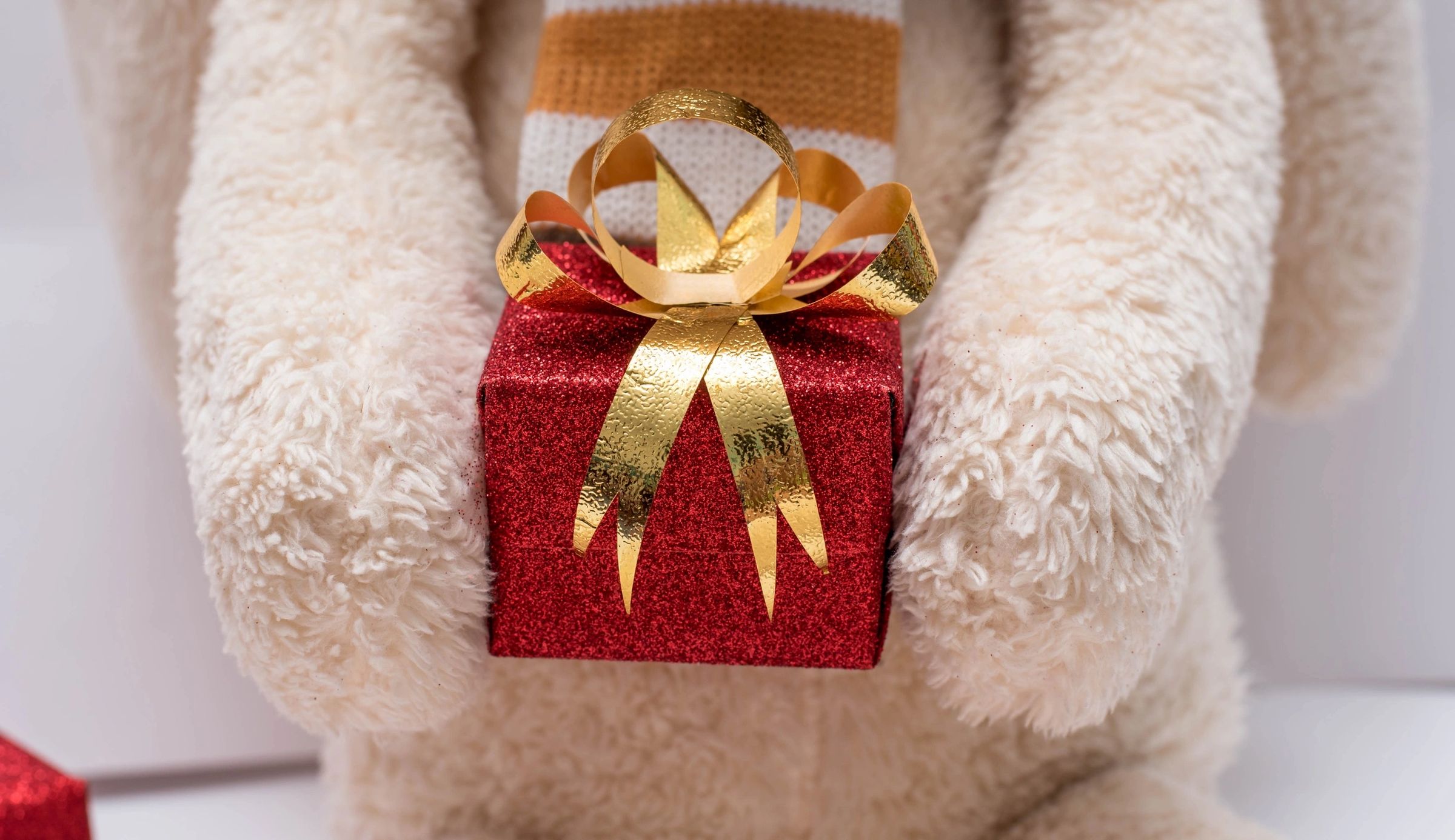 The Perfect Gift 2025